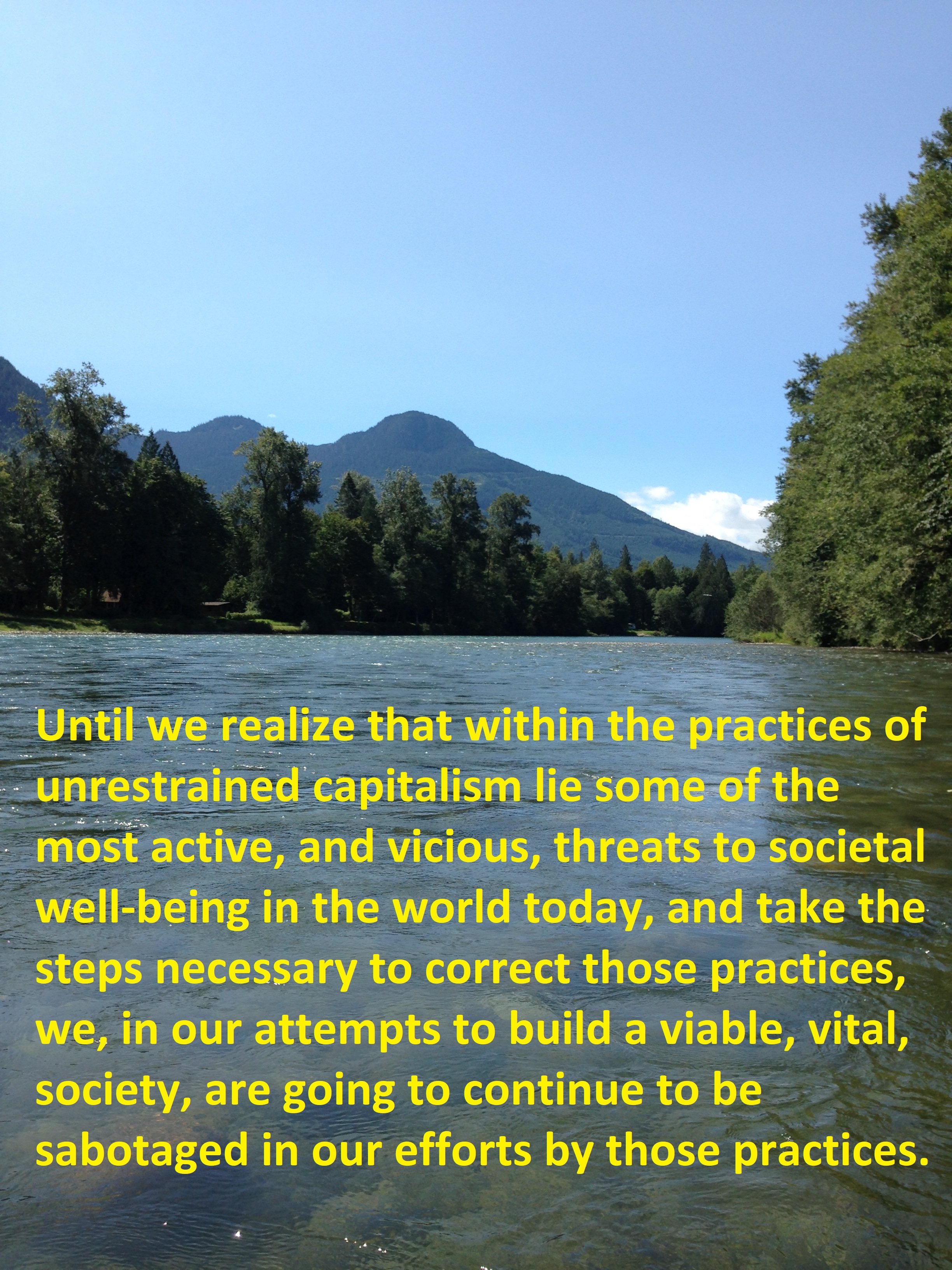 Unrestrained capitalism 2